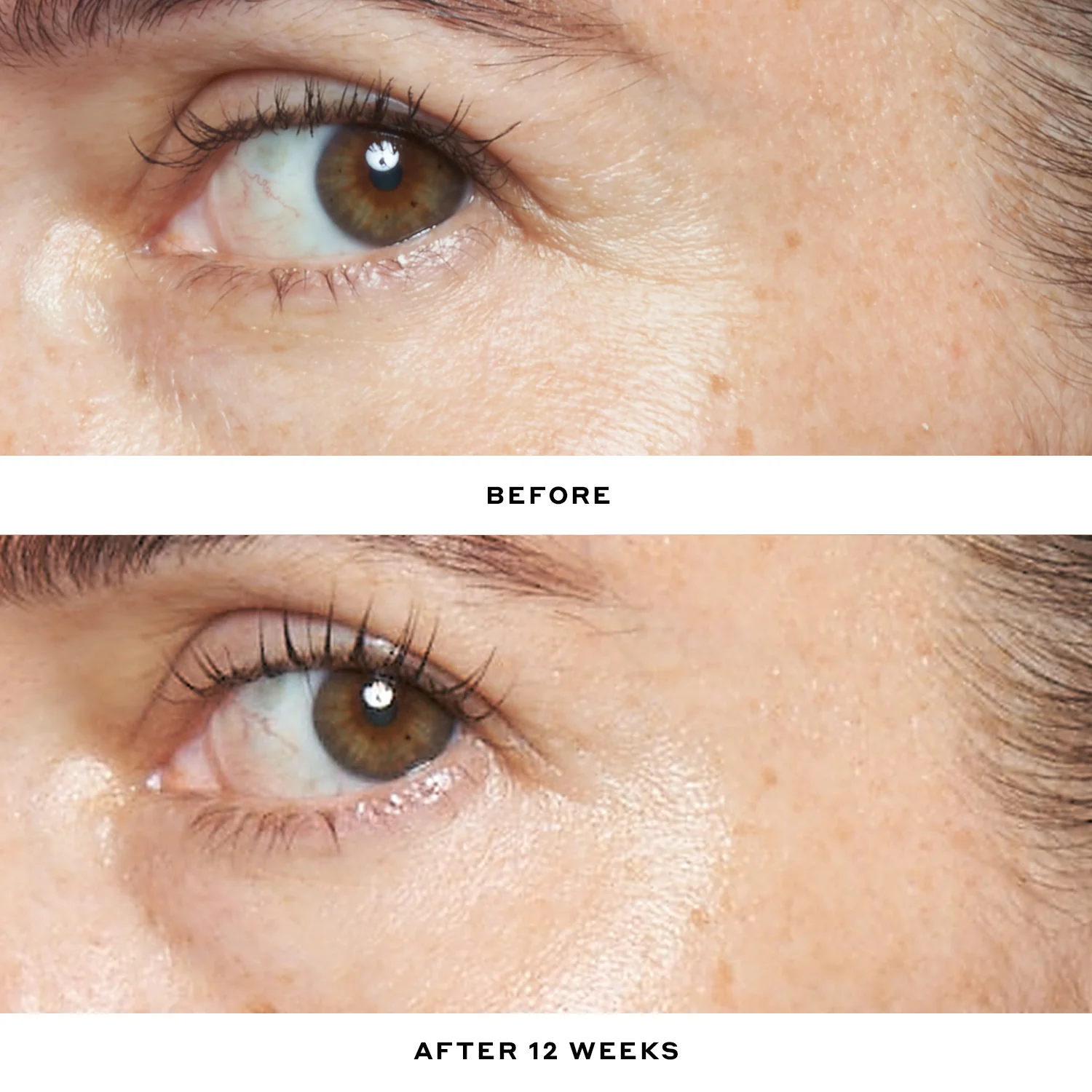 Renew + Strengthen Nighttime Skincare Routine - Image 3