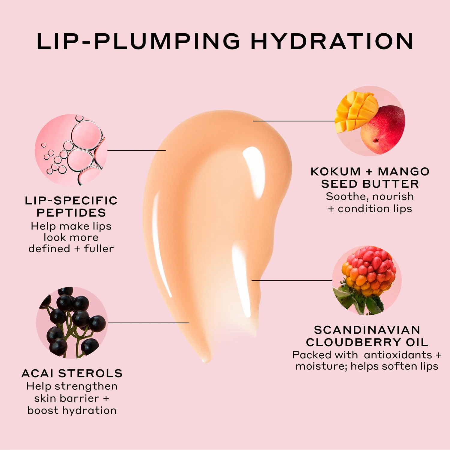 Big + Plump Peach Collection Bundle - Image 7
